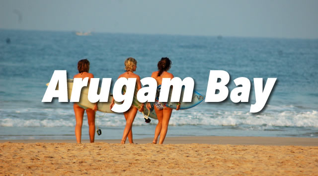 Arugam Bay Activities