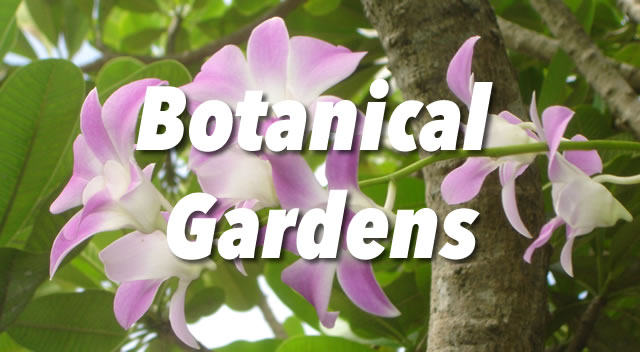 Botanical gardens Sri Lanka