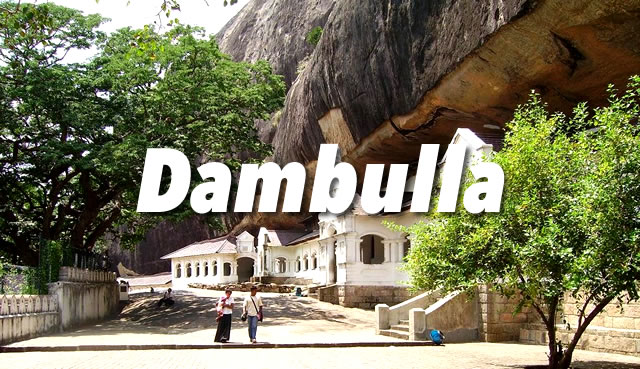 Dambulla Guide