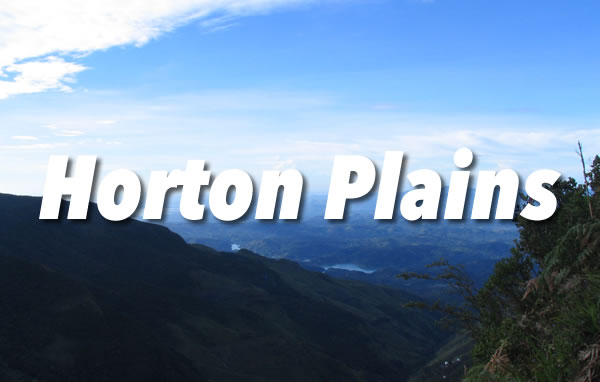 Horton Plains National Park