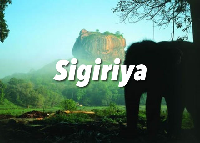 Sigiriya Guide