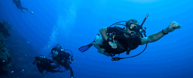 Sri Lanka South Coast Diving