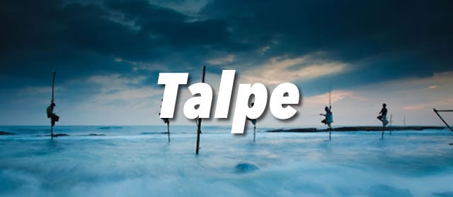 Talpe Guide