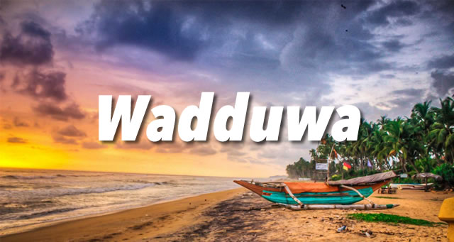 Wadduwa Guide