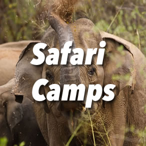 Sri Lanka Safari Camps