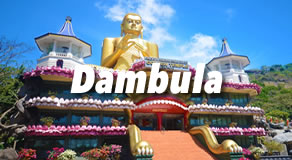Dambulla Hotels