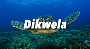 Dikwela Hotels