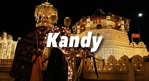 Kandy Hotels