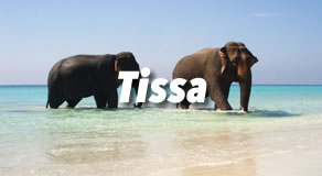 Tissa Hotels