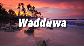 Wadduwa Hotels