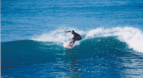 Mirissa Surfing