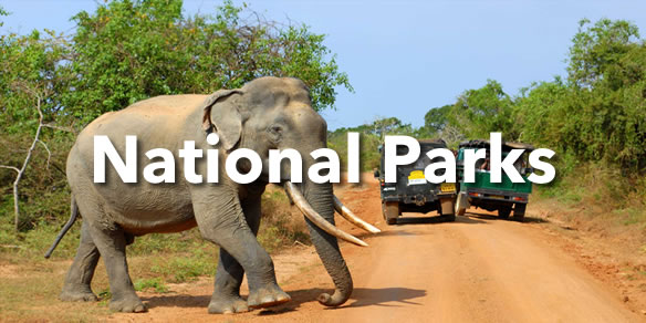 Sri Lanka National Parks